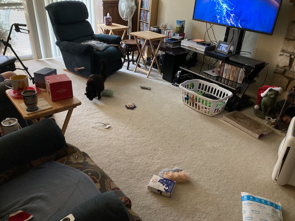 Abby the cat, kicking the catnip pillow with her back feet while standing up